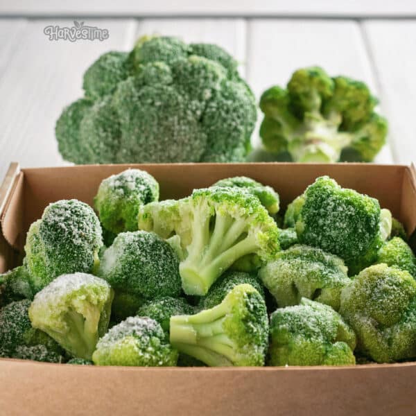 Organic Broccoli Florets 10kg - Bulk