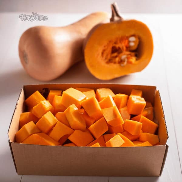 Organic Butternut Pumpkin 10Kg  - Bulk