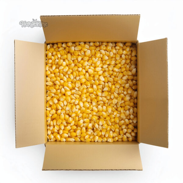 Organic Corn Kernels 10kg - Bulk