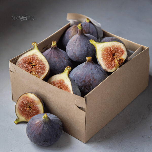 Organic  Black Figs 10Kg Bulk