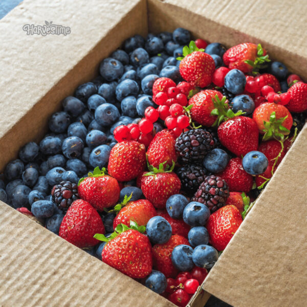 Organic Mixed Berries 10kg Bulk