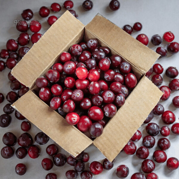 Organic  Cranberries 10 Kg Bulk