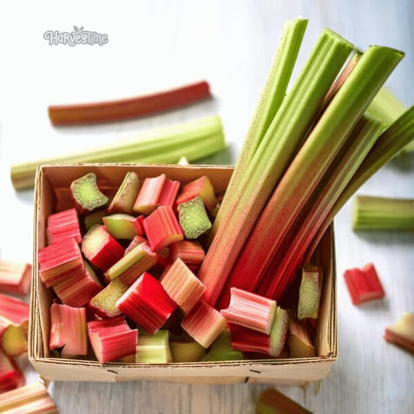 Rhubarb 10kg - Bulk