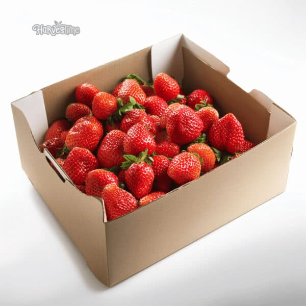 Organic Strawberries 12Kg Bulk