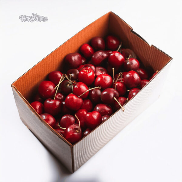 Sweet Cherries 12 Kg Bulk